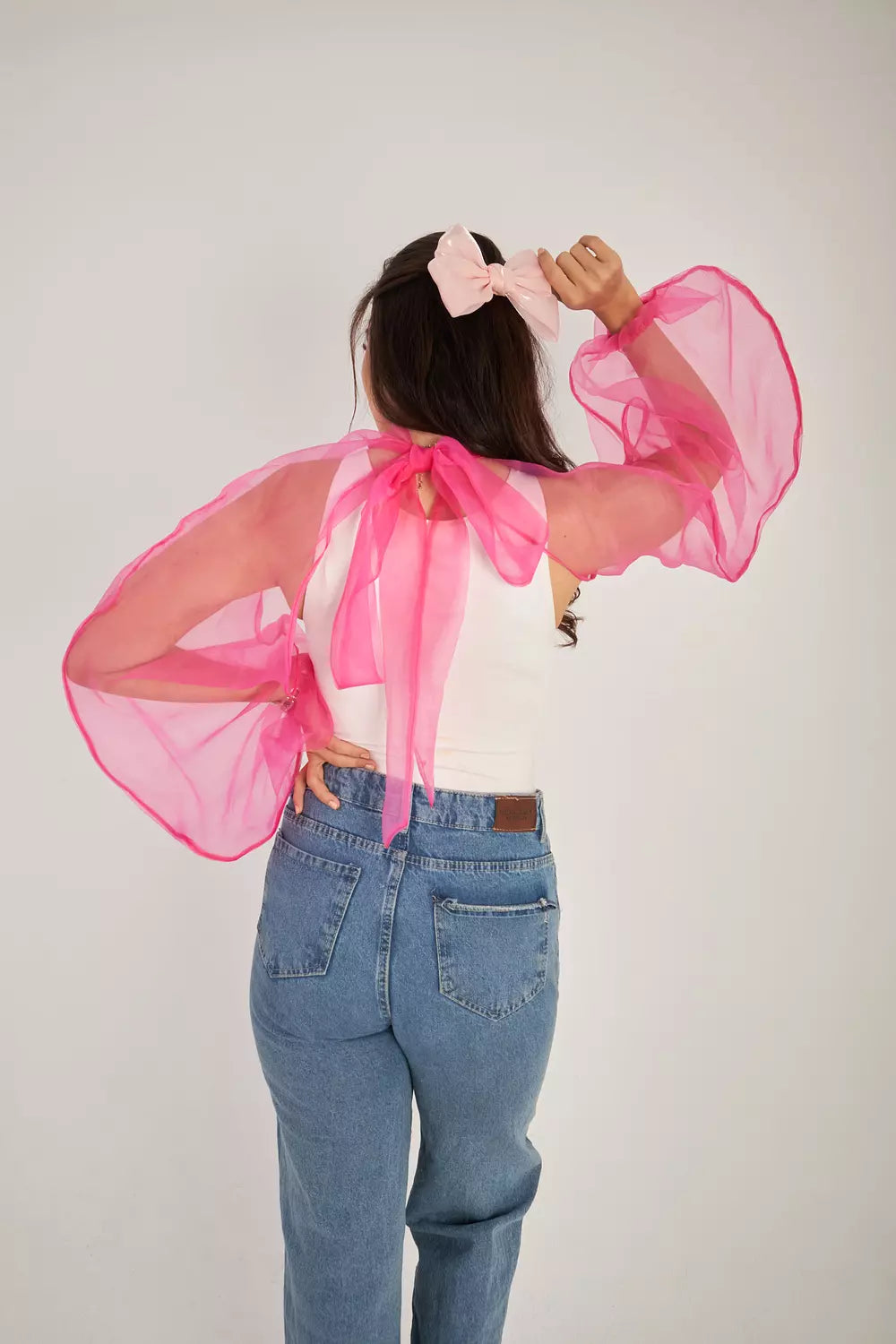 Sheer Delight Bow Tie Sleeves
