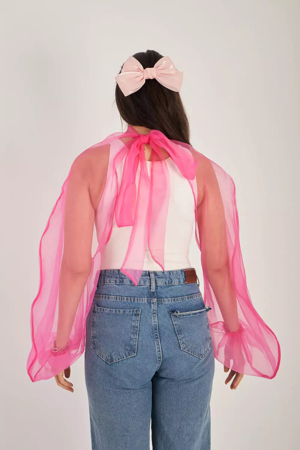 Sheer Delight Bow Tie Sleeves