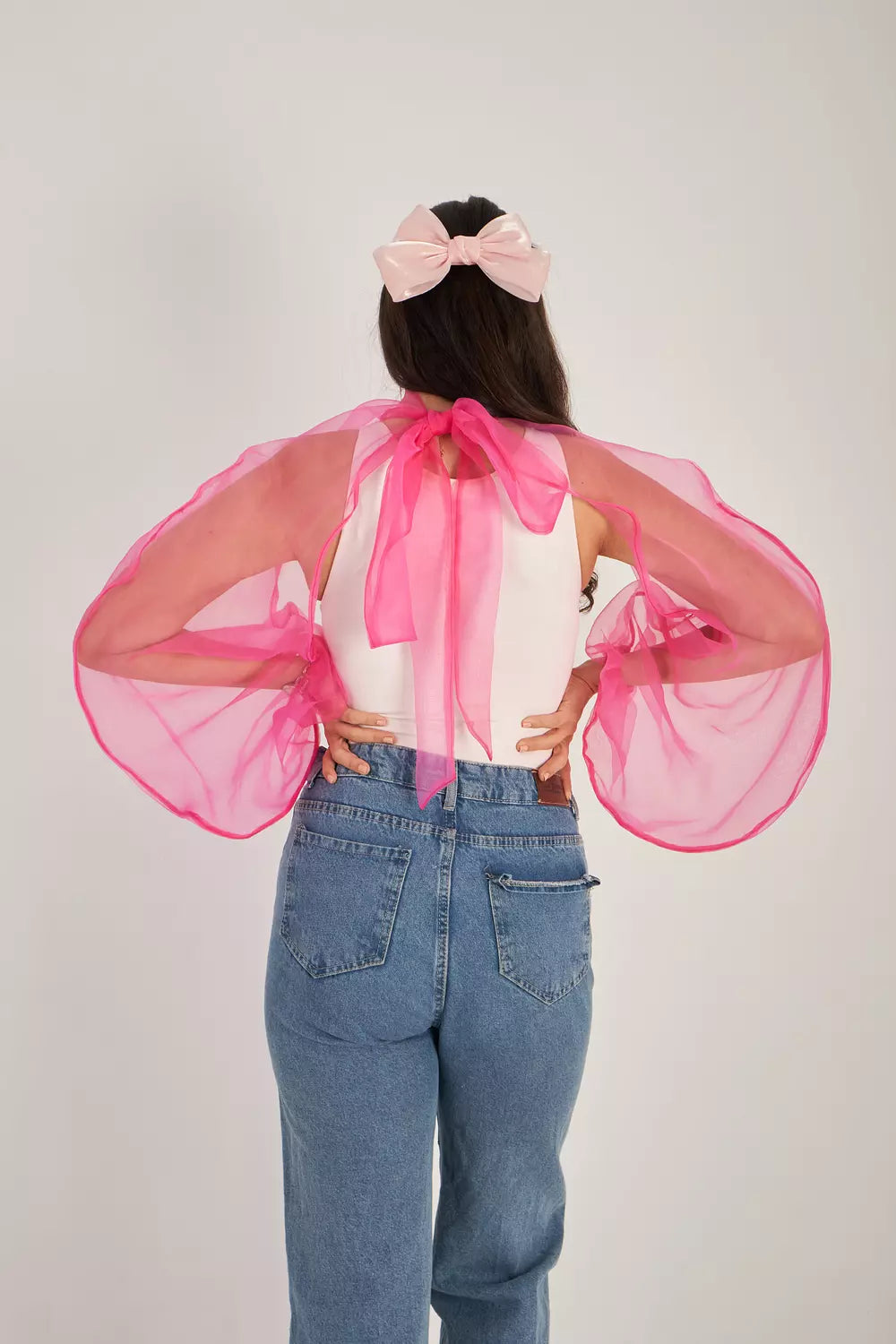 Sheer Delight Bow Tie Sleeves